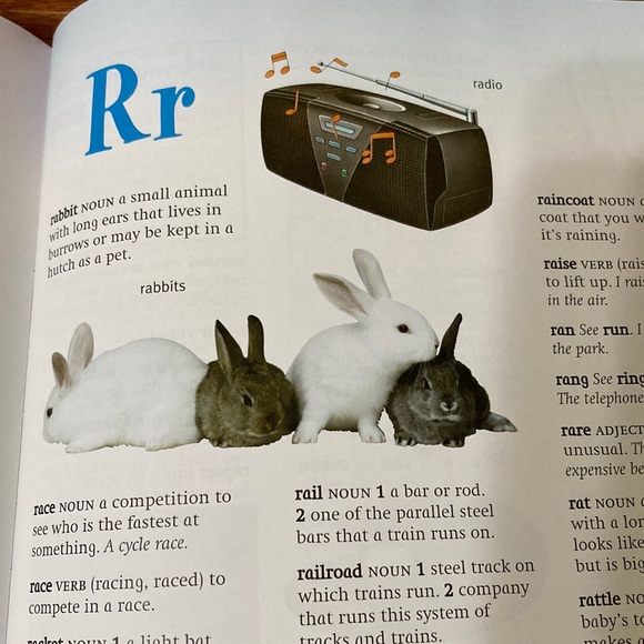 FIRST DICTIONARY (screen-free resource) - Picture 9 of 11